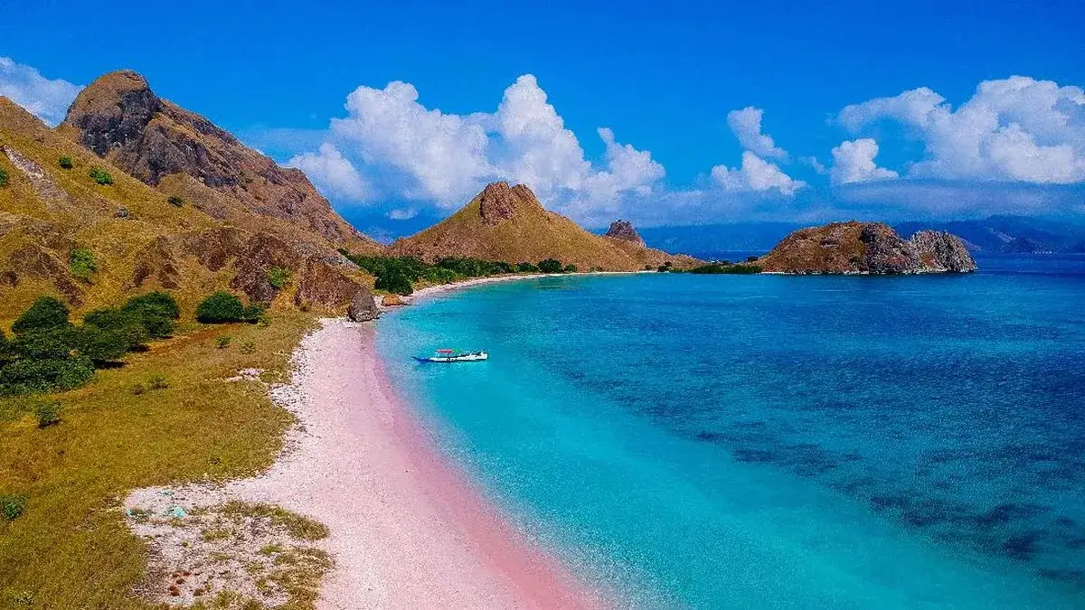 Pantai pink